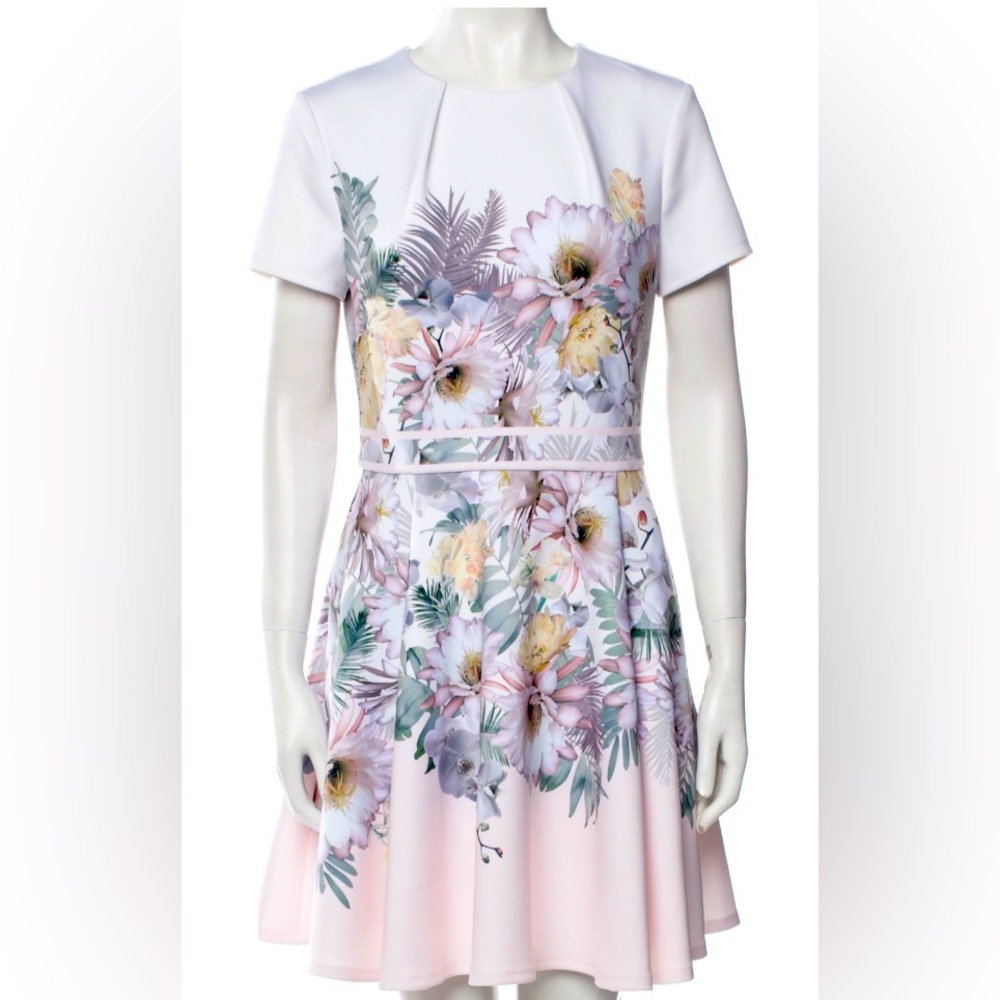 Beautiful brand new Ted Baker dress